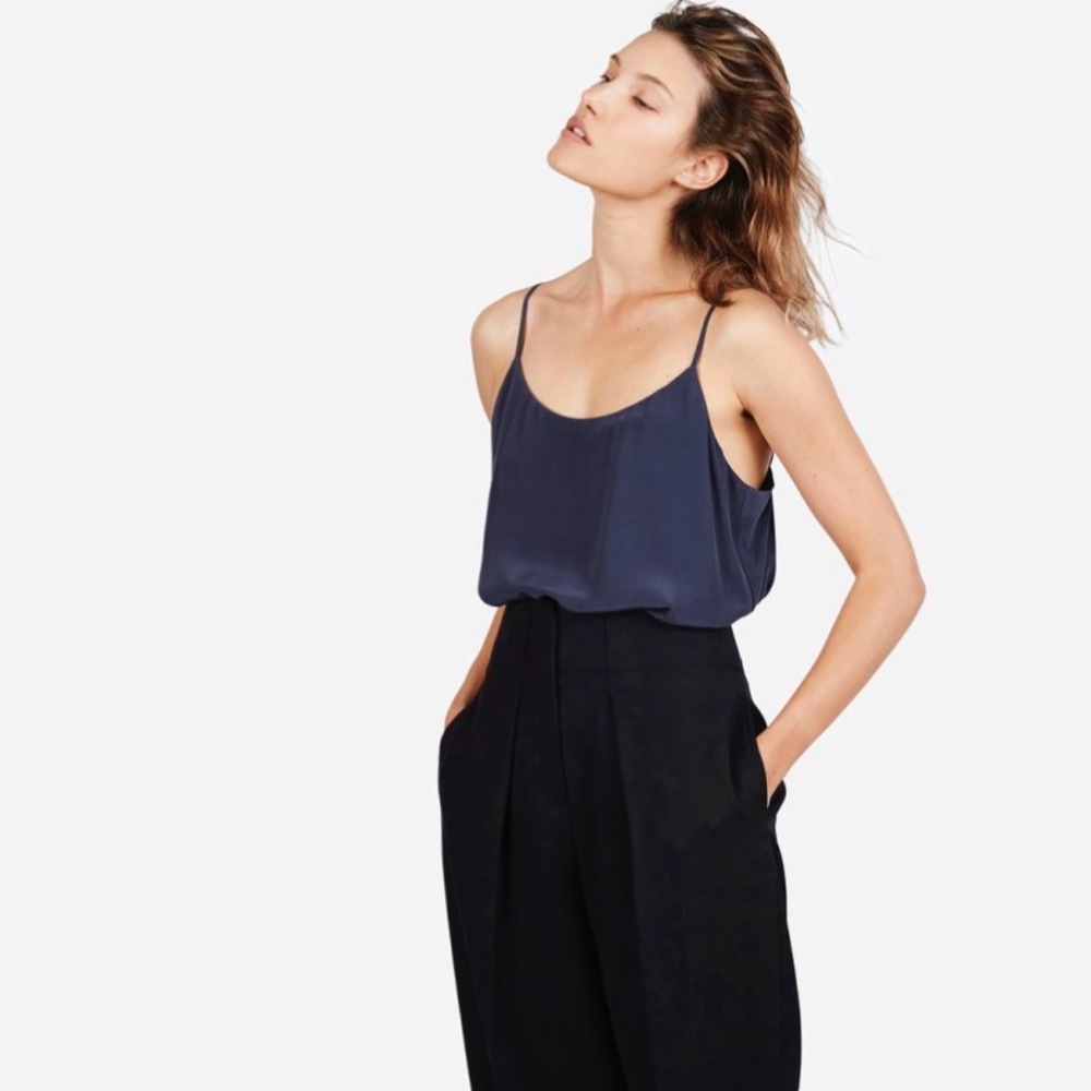 Everlane Blue Silk Camisole